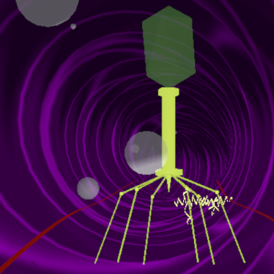 Bacteriophage T4 — boss render